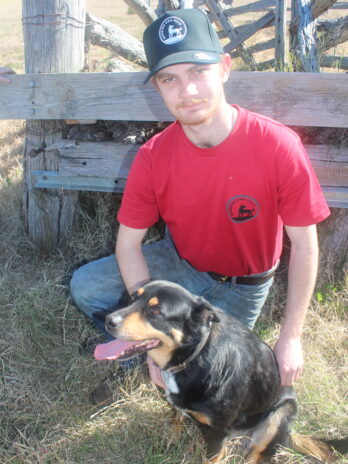 Mens Working Dog Wear Trademark T Shirt Black Trademark