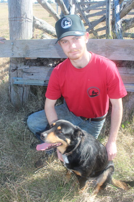 Mens Working Dog Wear Trademark T Shirt Black Trademark