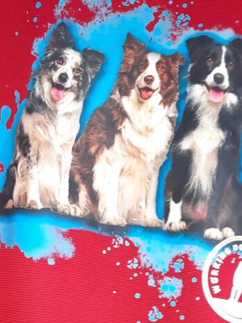 Border Collie Zip Front Hoodie Black