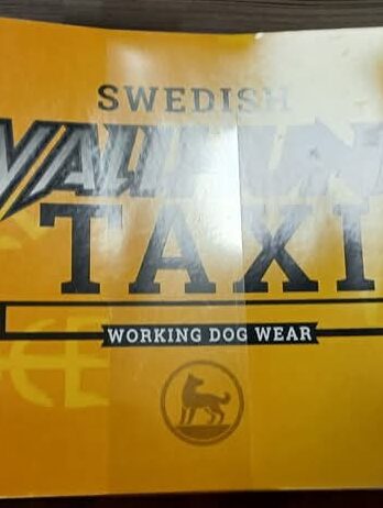 Car Bumper Sticker – Swedish Vallhund