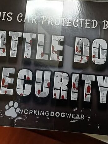 Car Bumper Sticker – Cattle Dogs