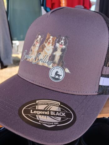 Border Collie Trucker Caps Grey