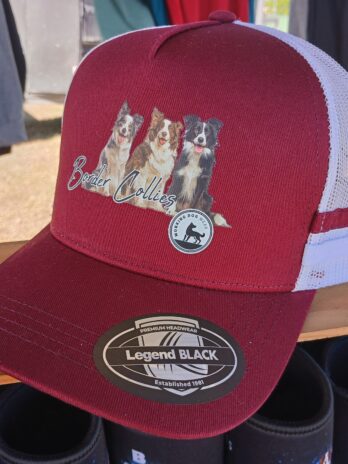 Border Collie Trucker Caps Maroon