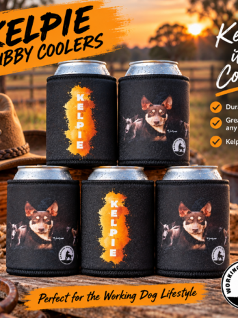 Australian Kelpie Stubby Cooler