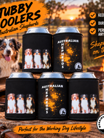 Australian Shepherd Stubby Cooler