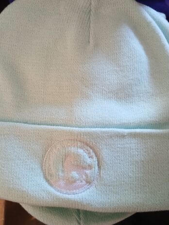 Working Dog Wear Trademark Beanie Mint Green