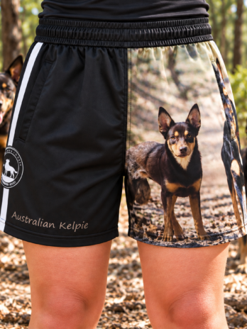 Australian Kelpie Footy Shorts