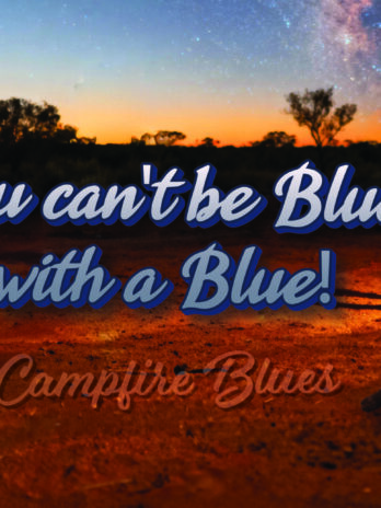Car Bumper Sticker – Blue Cattle Dogs You Can’t be Blue with a Blue!