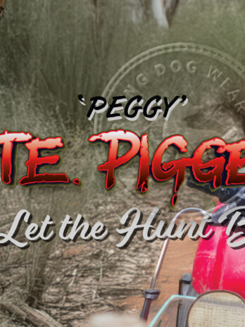 Car Bumper Sticker – ‘L’ Plate Pigger