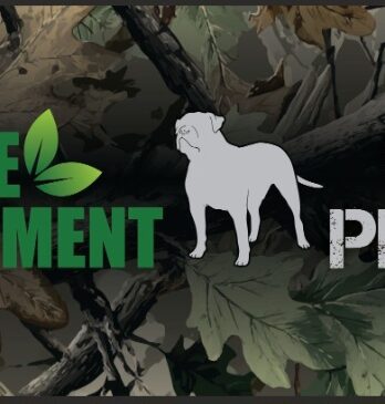 Car Bumper Sticker – Save the Environment Go Pigging!