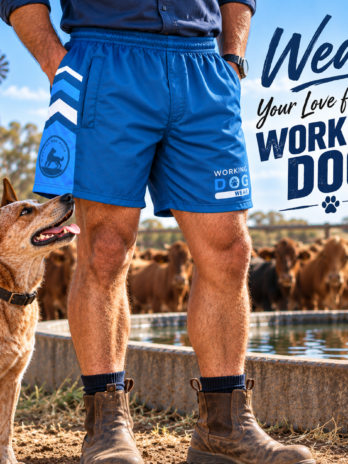 Working Dog Wear Trademark Footy Shorts Teal