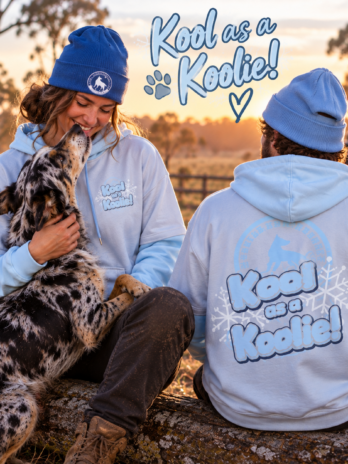 Kool as a Koolie Pullover 100% Cotton Hoodie